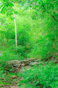 BIB: 
                            <button type="button" onclick="openModal(22090508)" class="btn btn-primary btn-sm float-right btn-popup" data-toggle="modal" data-target=".modal-high-quality">
                        <i class="fas fa-shopping-cart"></i> Add to Cart
                    </button>
                                            <button type="button" onclick="isThisMe(22090508, true)" class="btn btn-success btn-sm float-right btn-popup btn-isme hidden" data-toggle="tooltip" data-placement="bottom" title="นี่คือรูปของคุณใช่ไหม คลิกที่นี่เพื่อเอาเข้าอัลบั้ม">
                        <i class="fas fa-plus"></i> Add to album
                    </button>
                    <button type="button" onclick="isThisMe(22090508, false)" class="btn btn-warning btn-sm float-right btn-popup btn-isnotme hidden">
                        <i class="fas fa-ban"></i> Remove from album
                    </button>